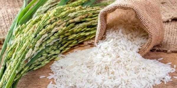 تصویر 5 از خرید و قیمت برنج کامفیروز اصفهان + فروش صادراتی